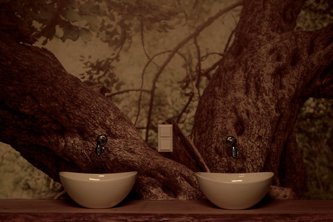 thumb_SF2A8944_1024