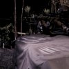 Blackout Jungle foto